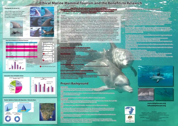 DolphinCare poster.jpg